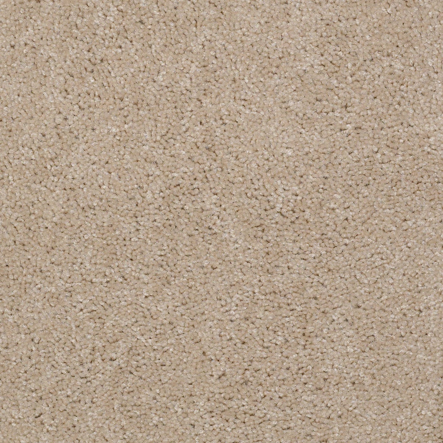 TEXTURE BCF