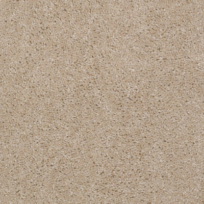 TEXTURE BCF