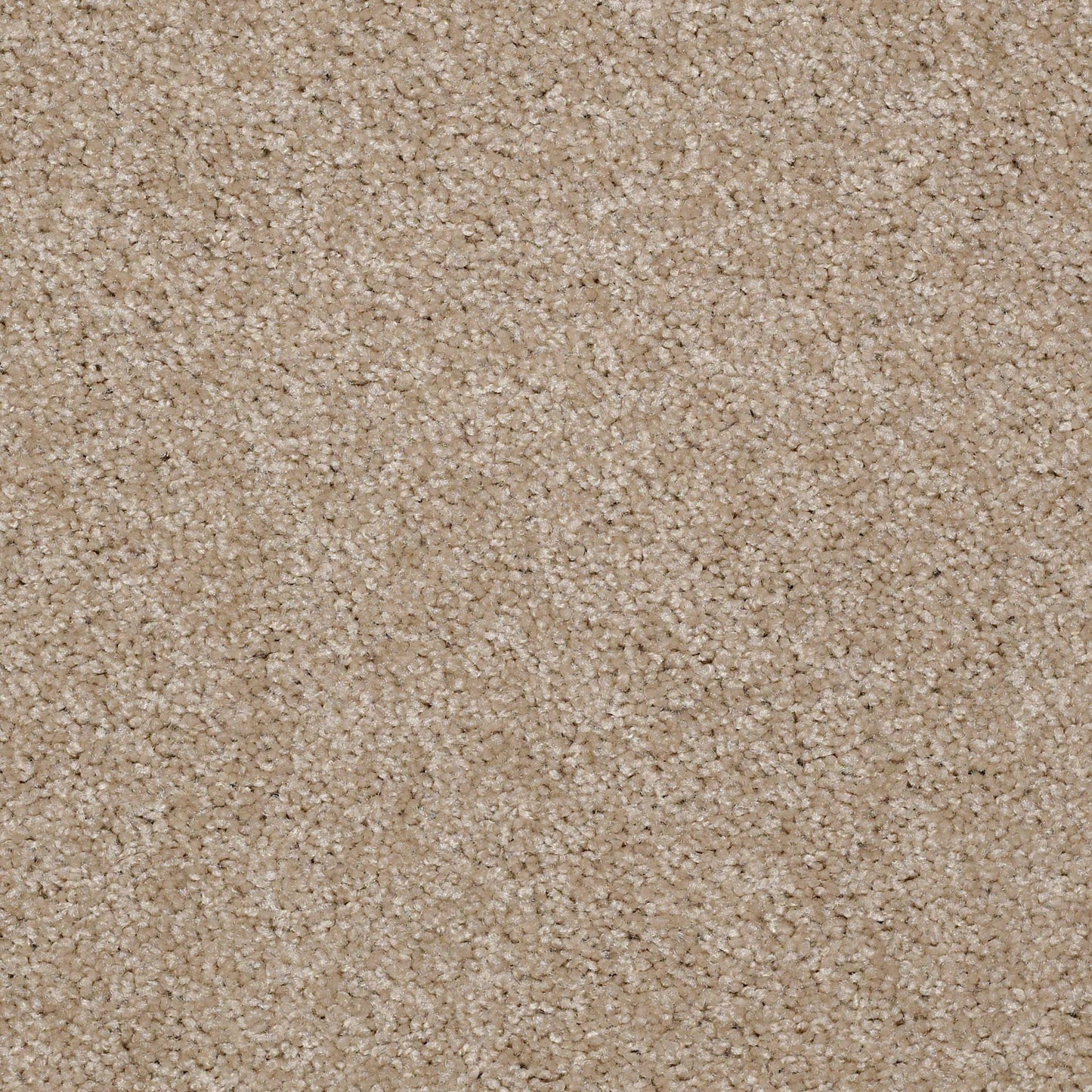 TEXTURE BCF
