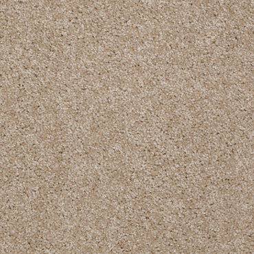 TEXTURE BCF
