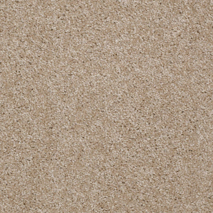 TEXTURE BCF