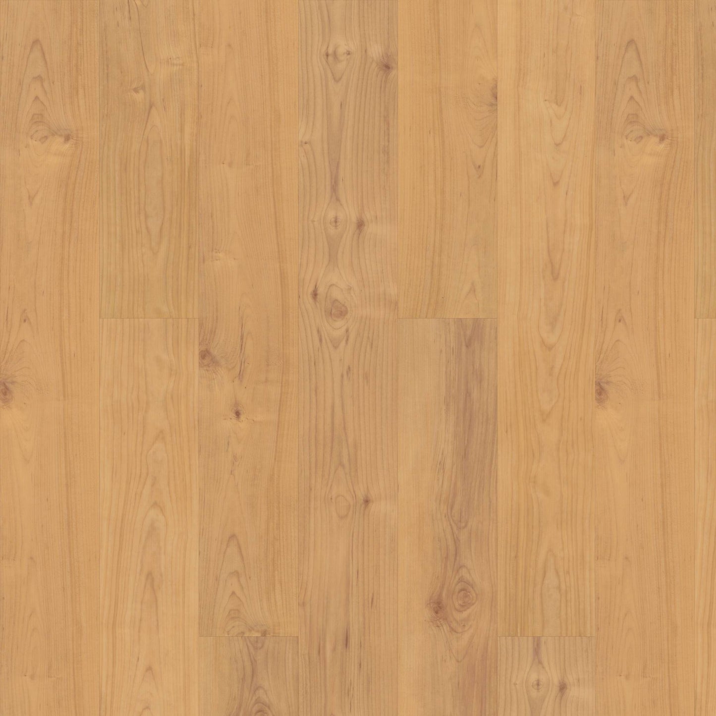 CORTEC RESIDENTIAL WPC