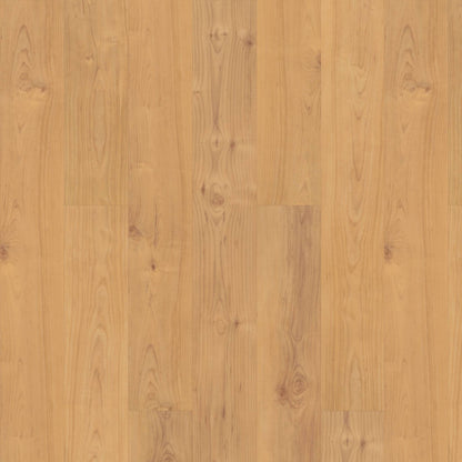 CORTEC RESIDENTIAL WPC