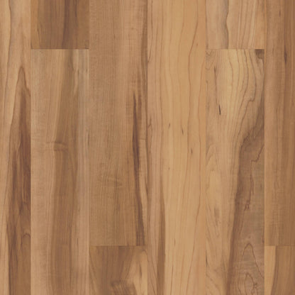 CORTEC RESIDENTIAL WPC