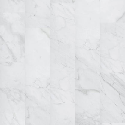 CORETEC MINERAL CORE RESIDENTIAL