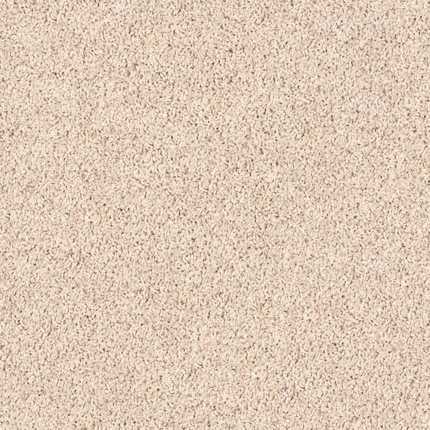 TEXTURE BCF