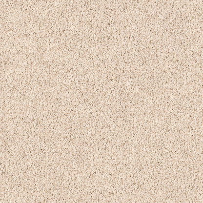 TEXTURE BCF