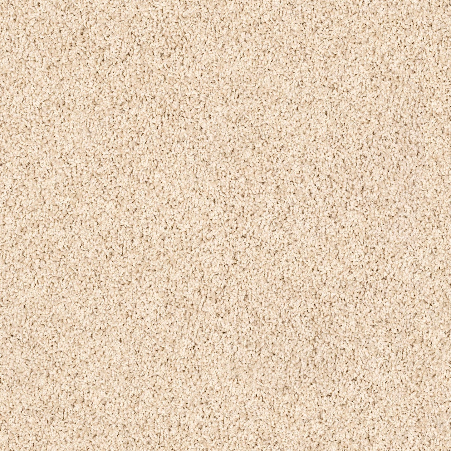 TEXTURE BCF