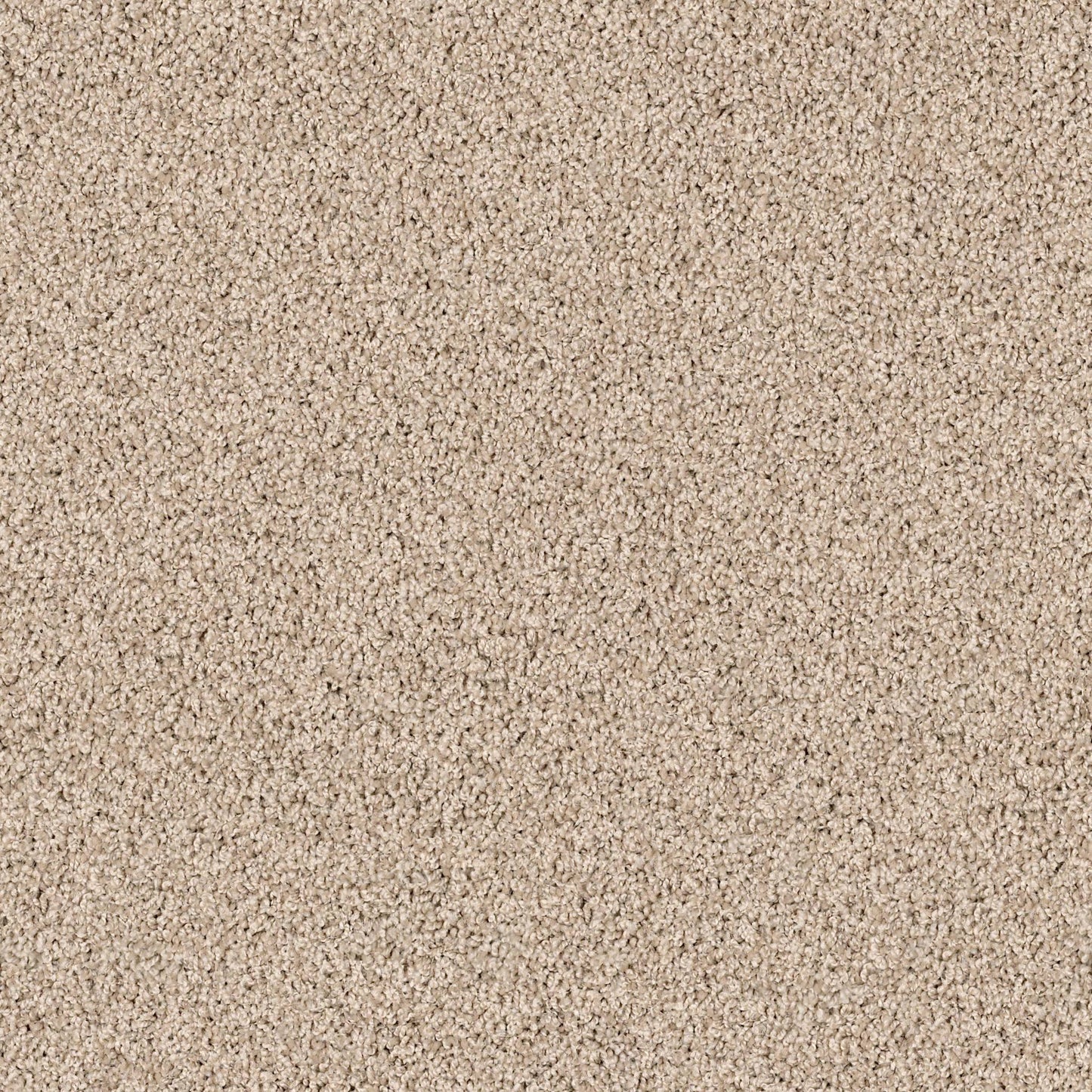 TEXTURE BCF