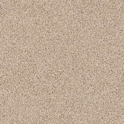TEXTURE BCF