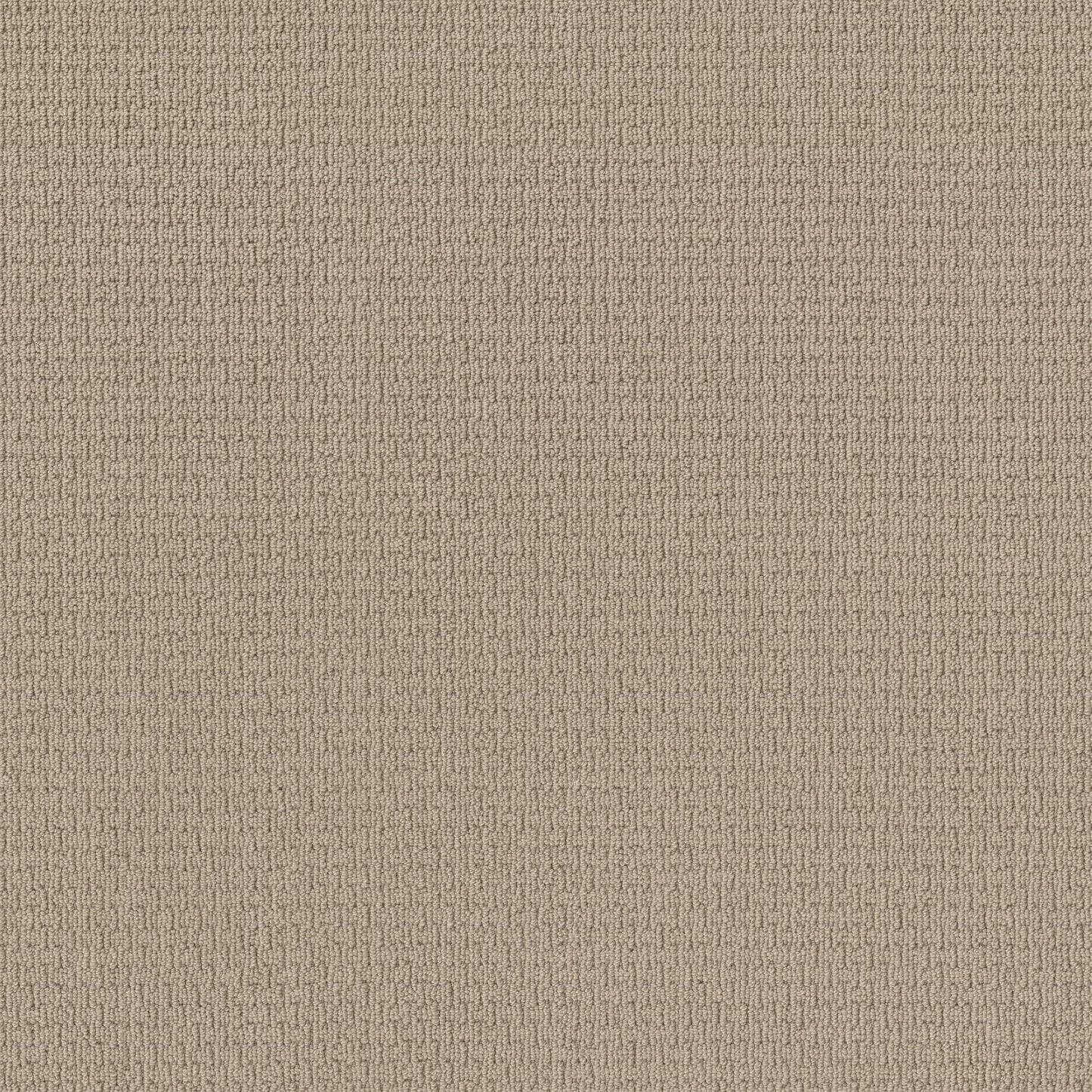 BERBER NYLON LOOP