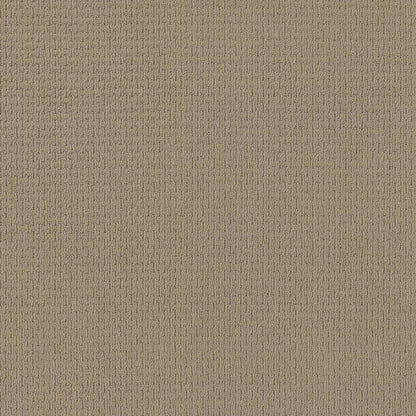 BERBER NYLON LOOP