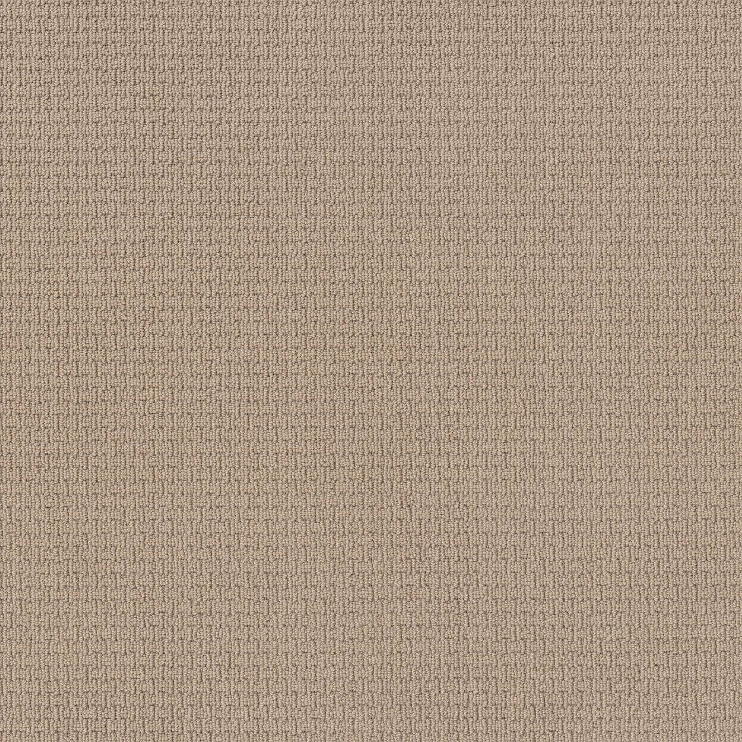BERBER NYLON LOOP