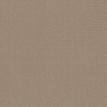 BERBER NYLON LOOP