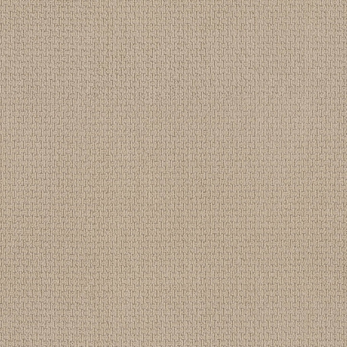 BERBER NYLON LOOP