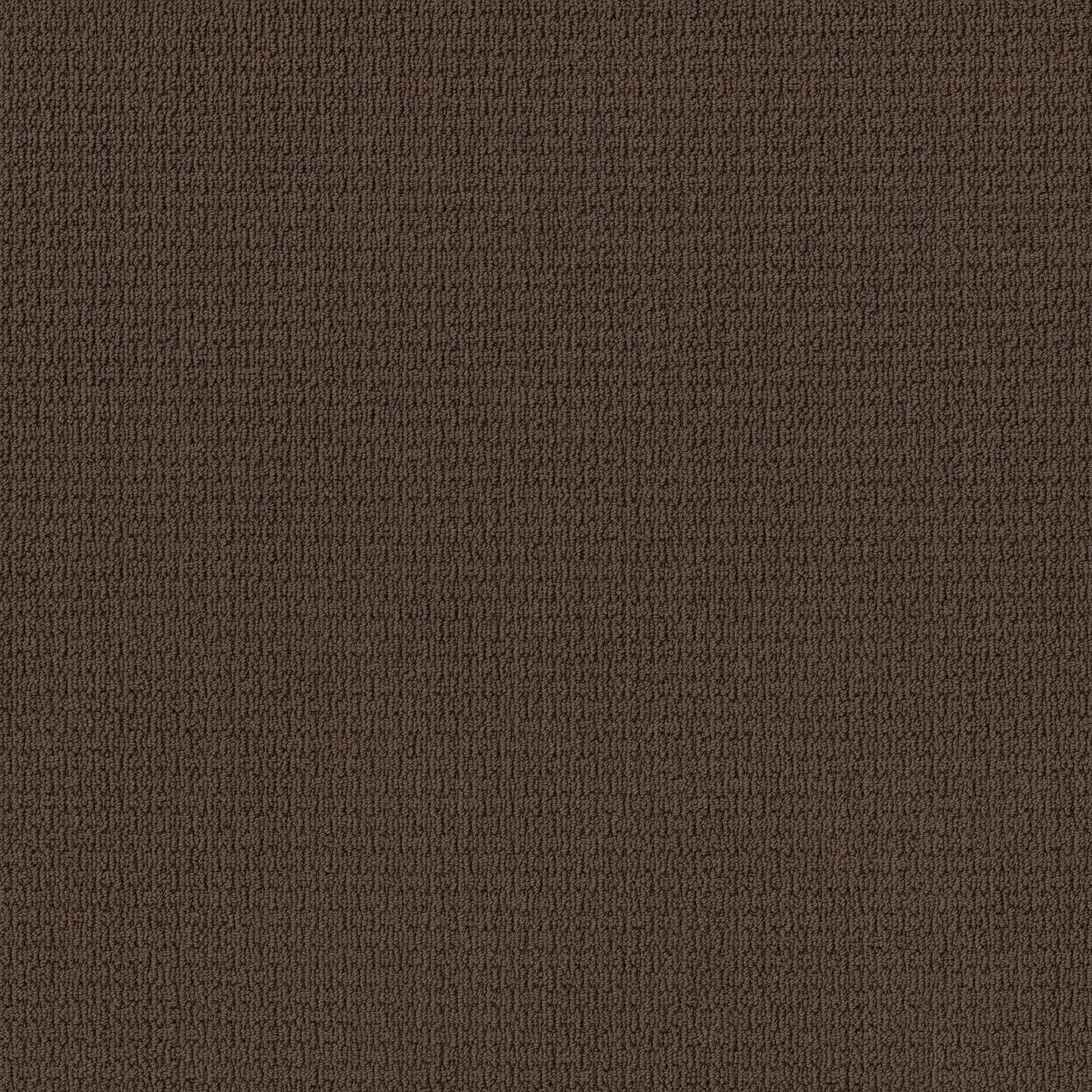 BERBER NYLON LOOP