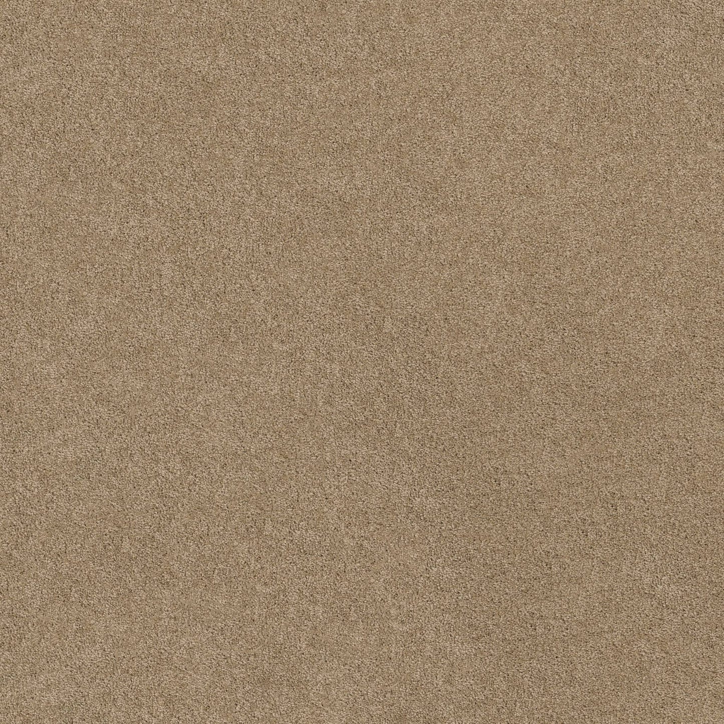 TEXTURE BCF