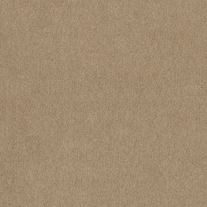 TEXTURE BCF
