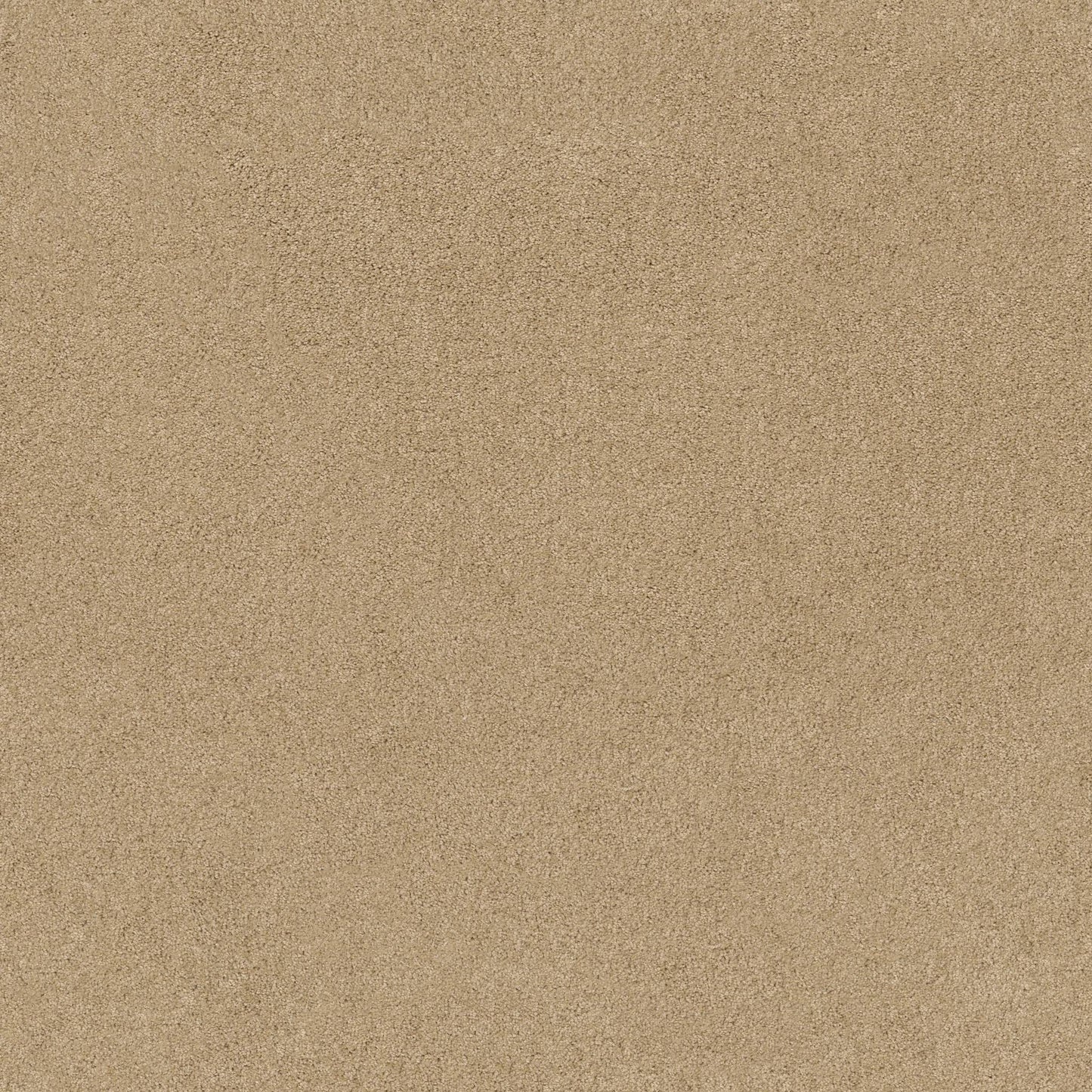 TEXTURE BCF
