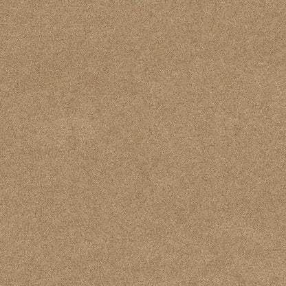 TEXTURE BCF
