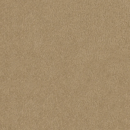 TEXTURE BCF