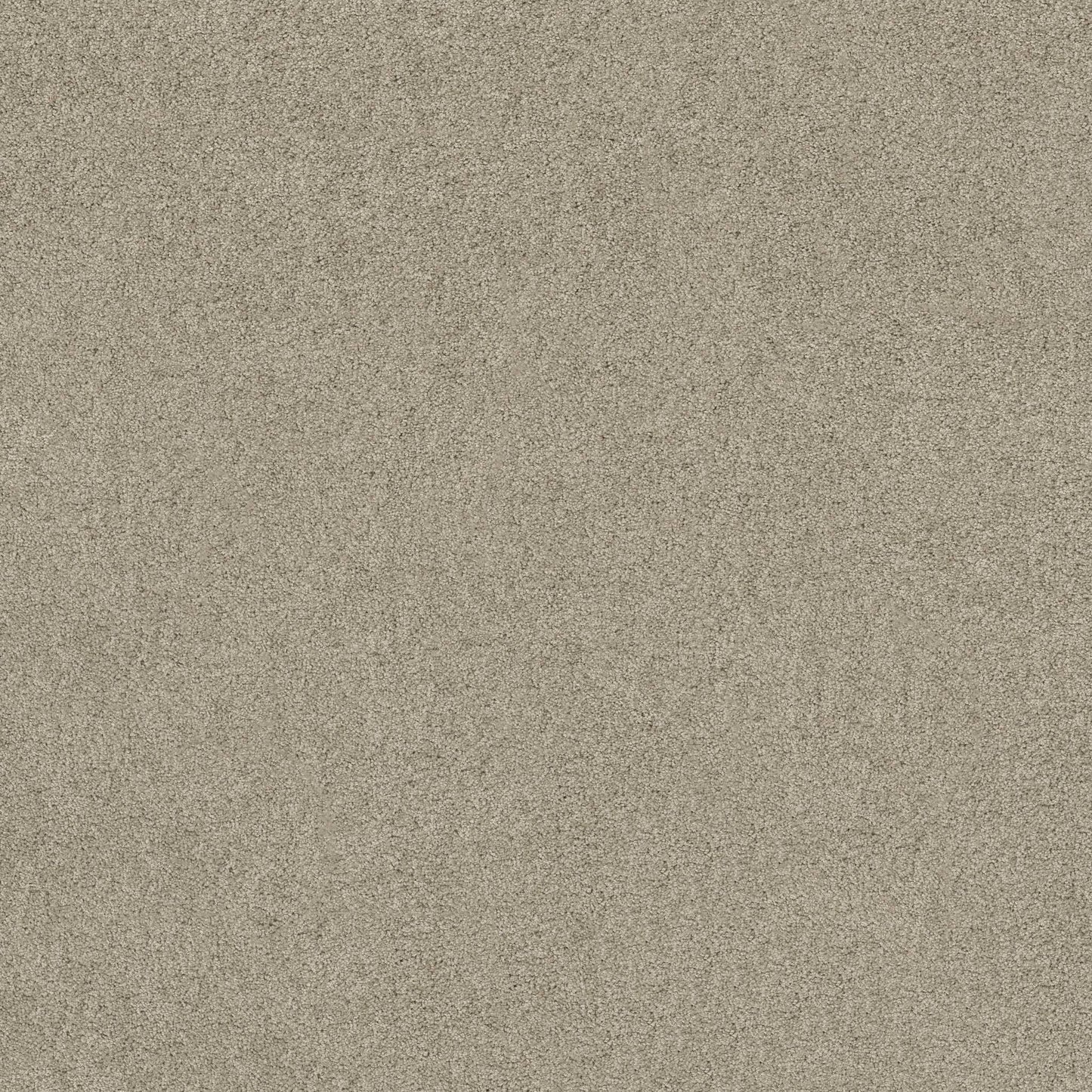 TEXTURE BCF