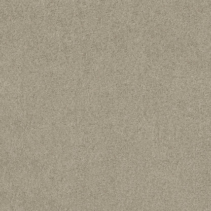 TEXTURE BCF