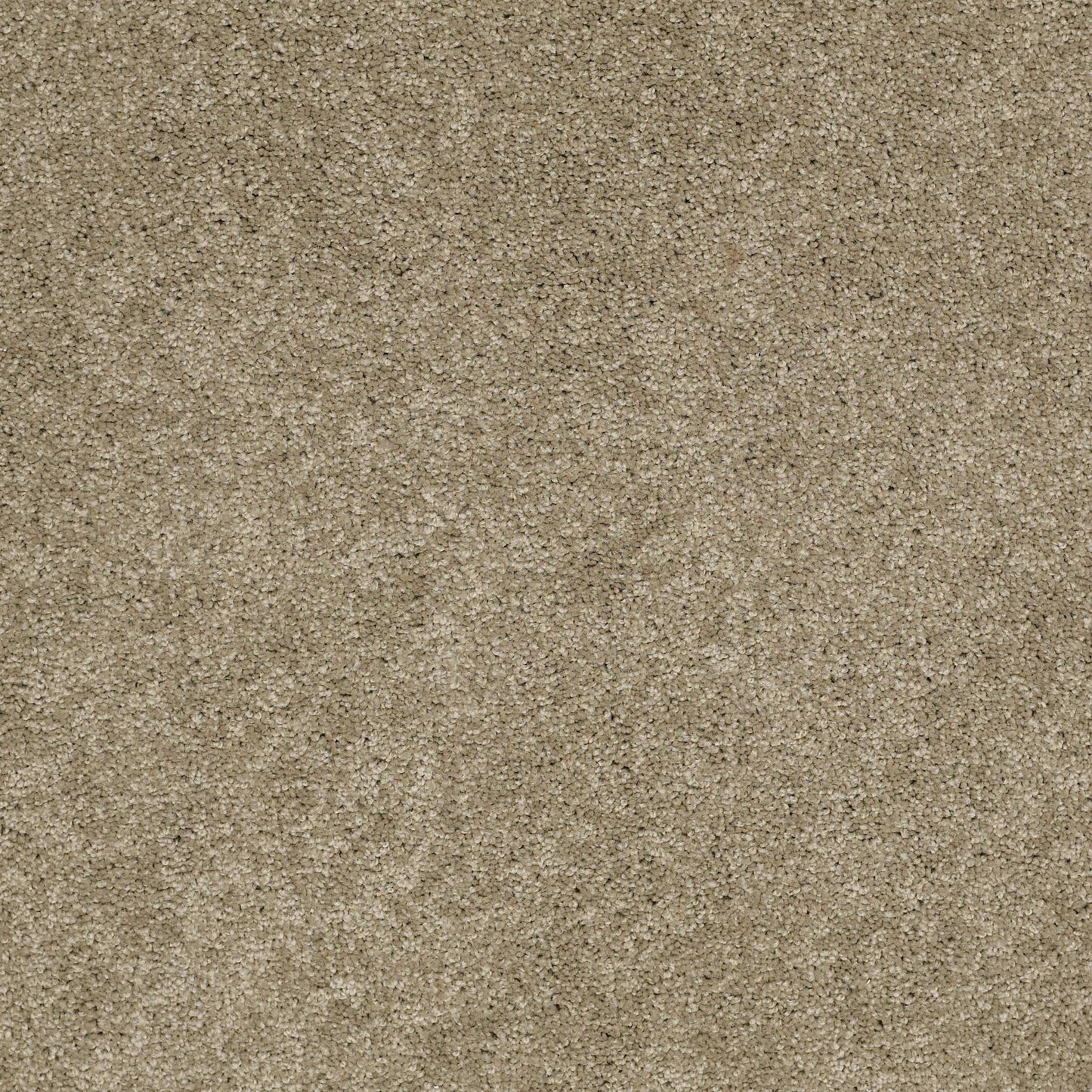 TEXTURE BCF