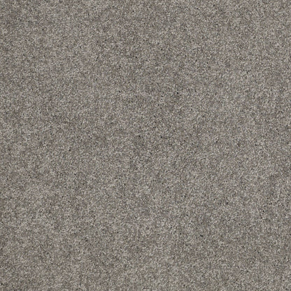 TEXTURE BCF