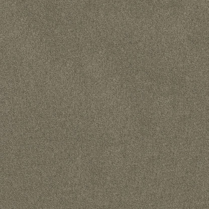 TEXTURE BCF
