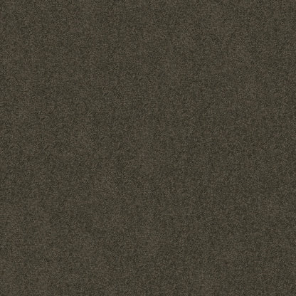TEXTURE BCF