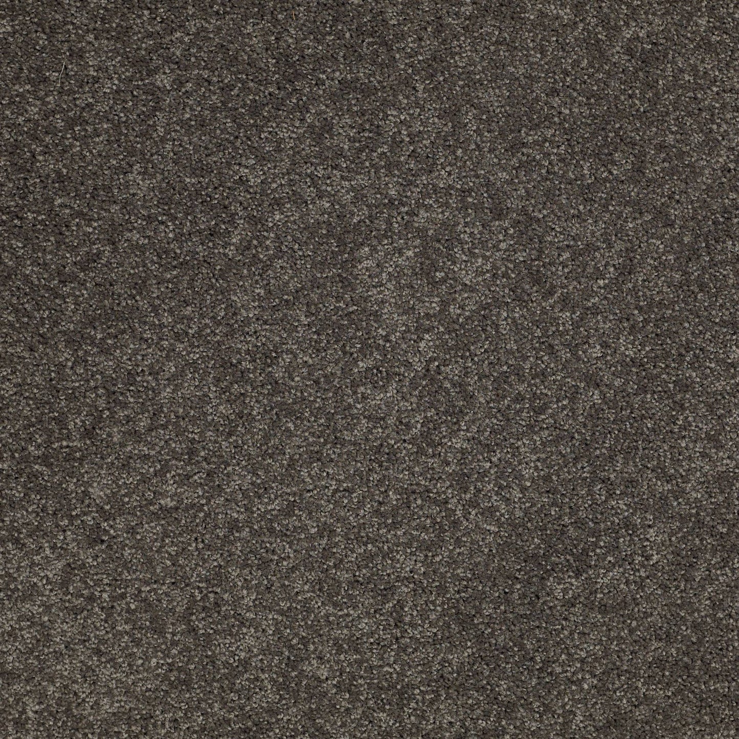TEXTURE BCF