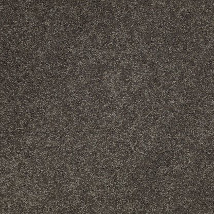 TEXTURE BCF