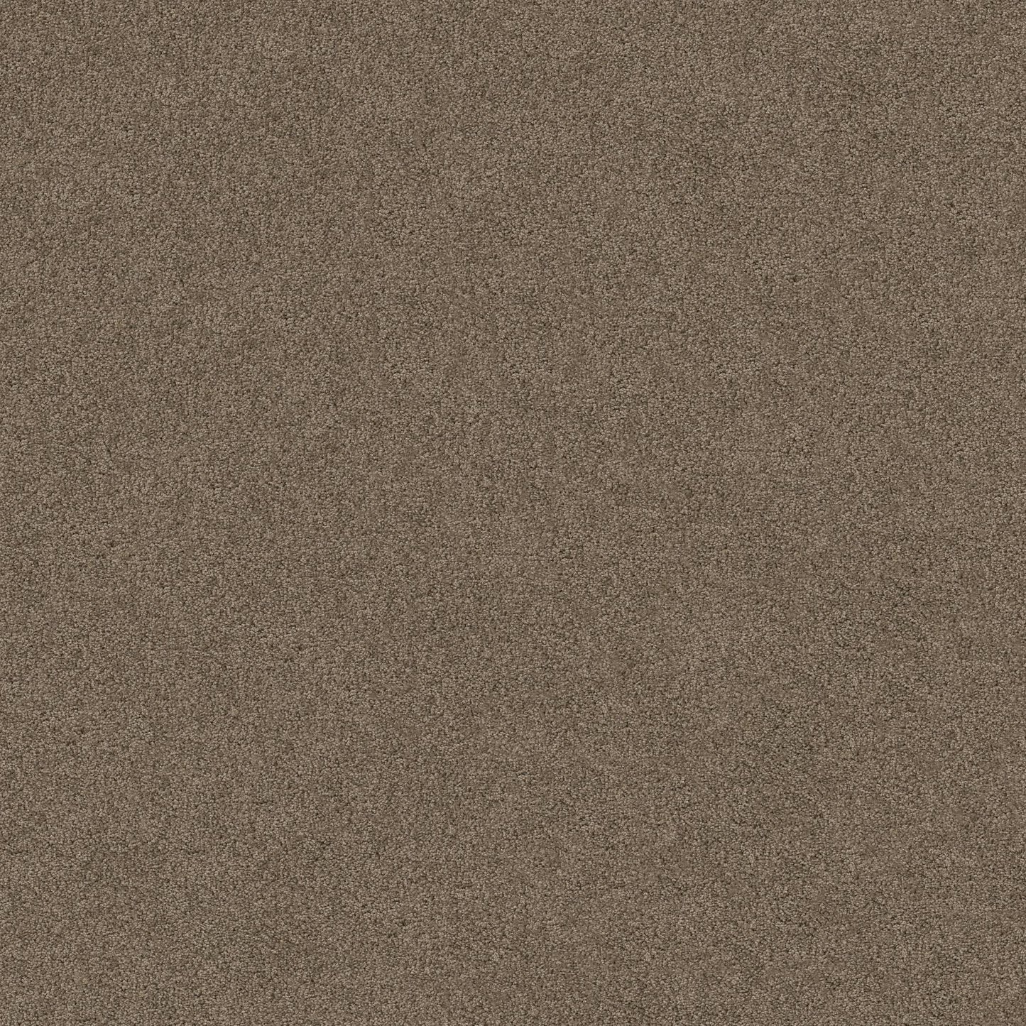 TEXTURE BCF