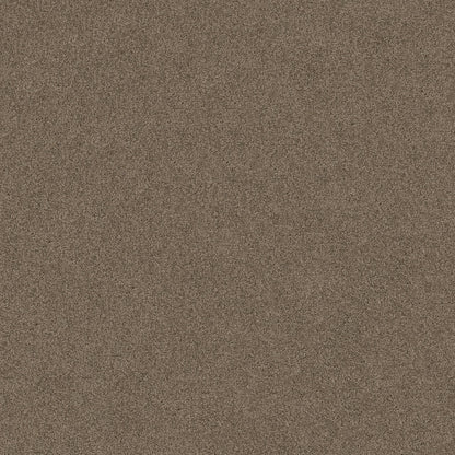 TEXTURE BCF