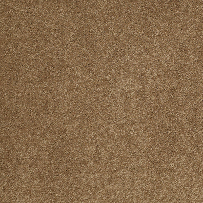 TEXTURE BCF