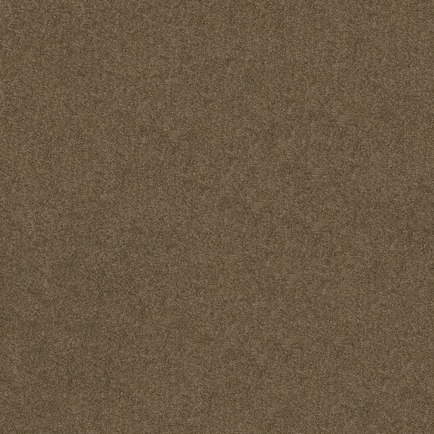 TEXTURE BCF