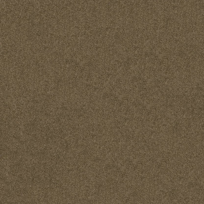 TEXTURE BCF