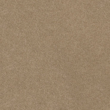 TEXTURE BCF