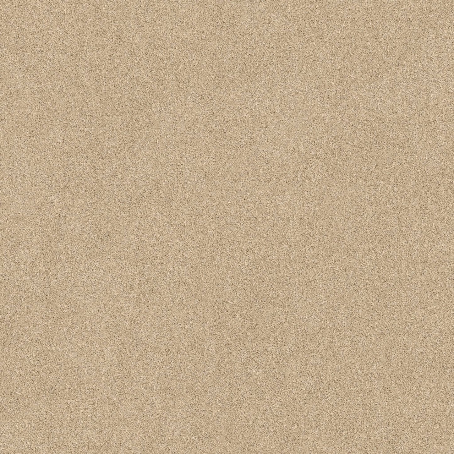 TEXTURE BCF