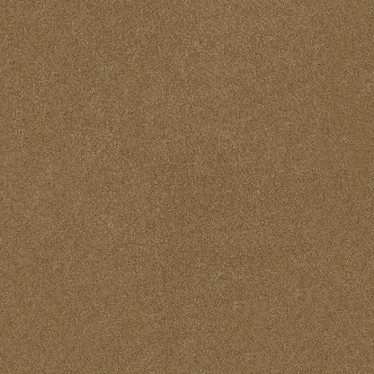 TEXTURE BCF