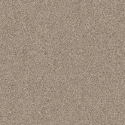 TEXTURE BCF