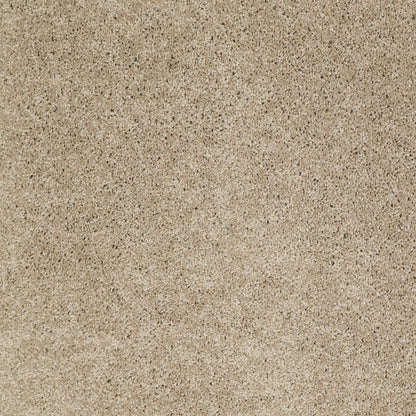 TEXTURE BCF