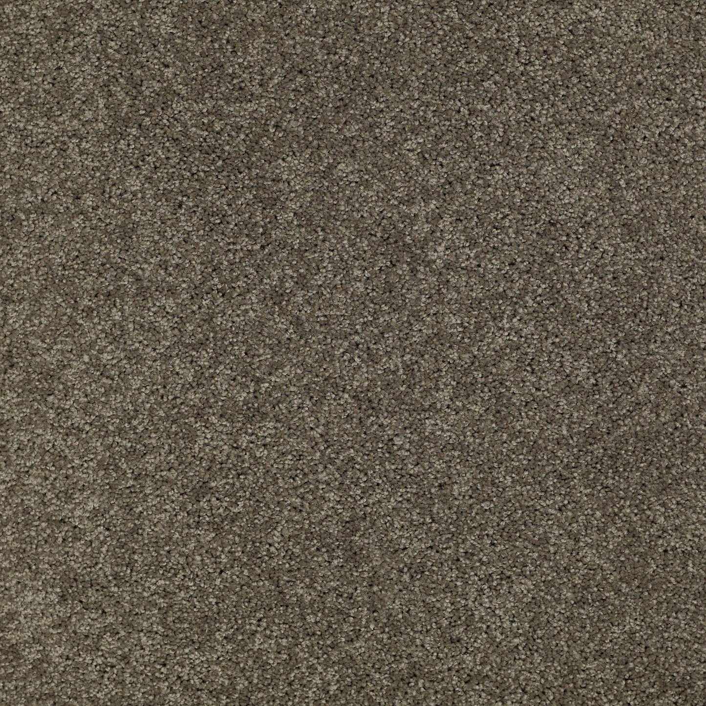 TEXTURE BCF