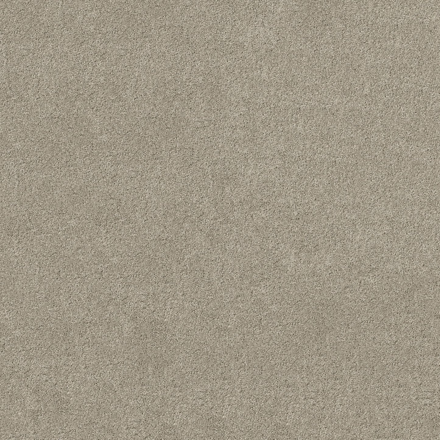 TEXTURE BCF