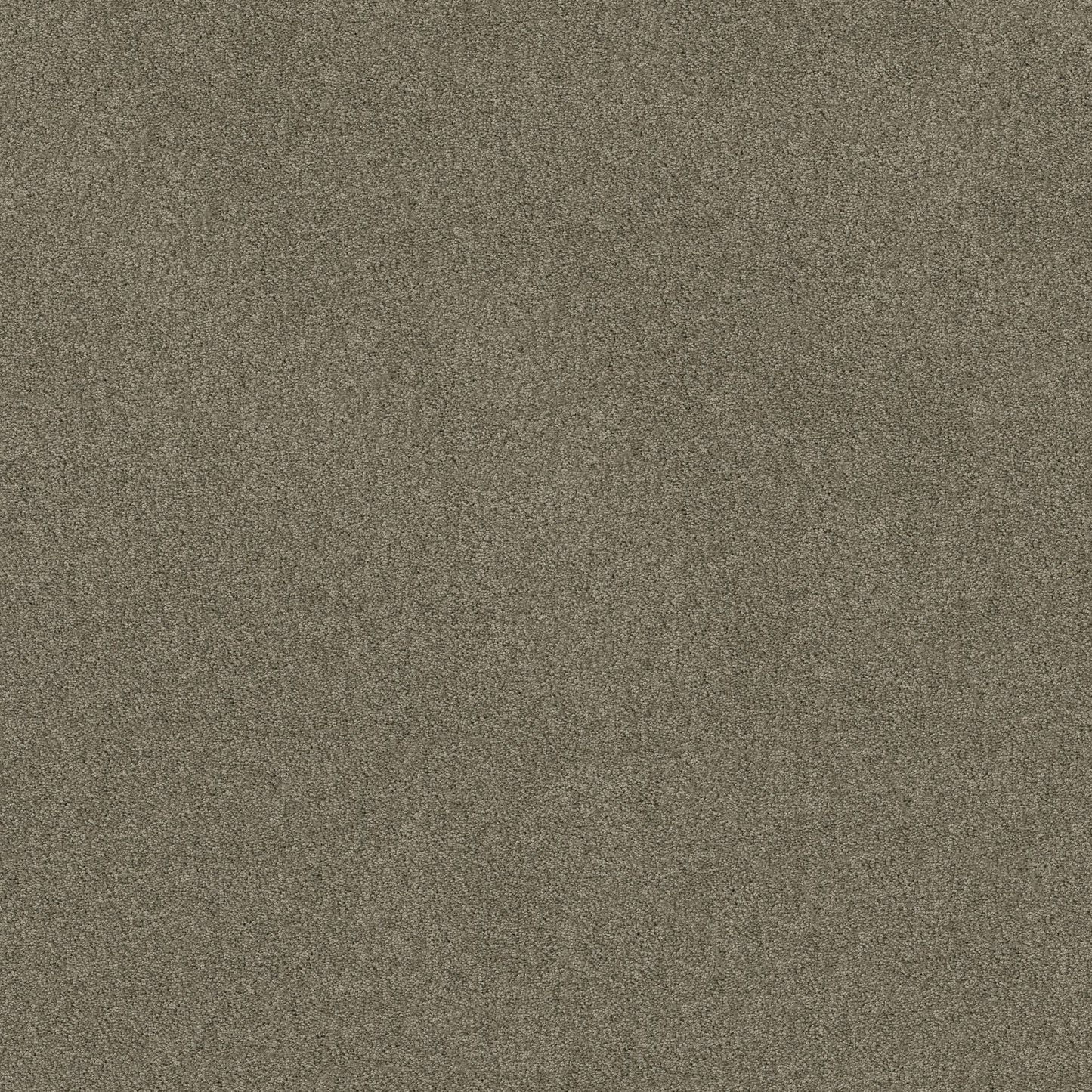TEXTURE BCF