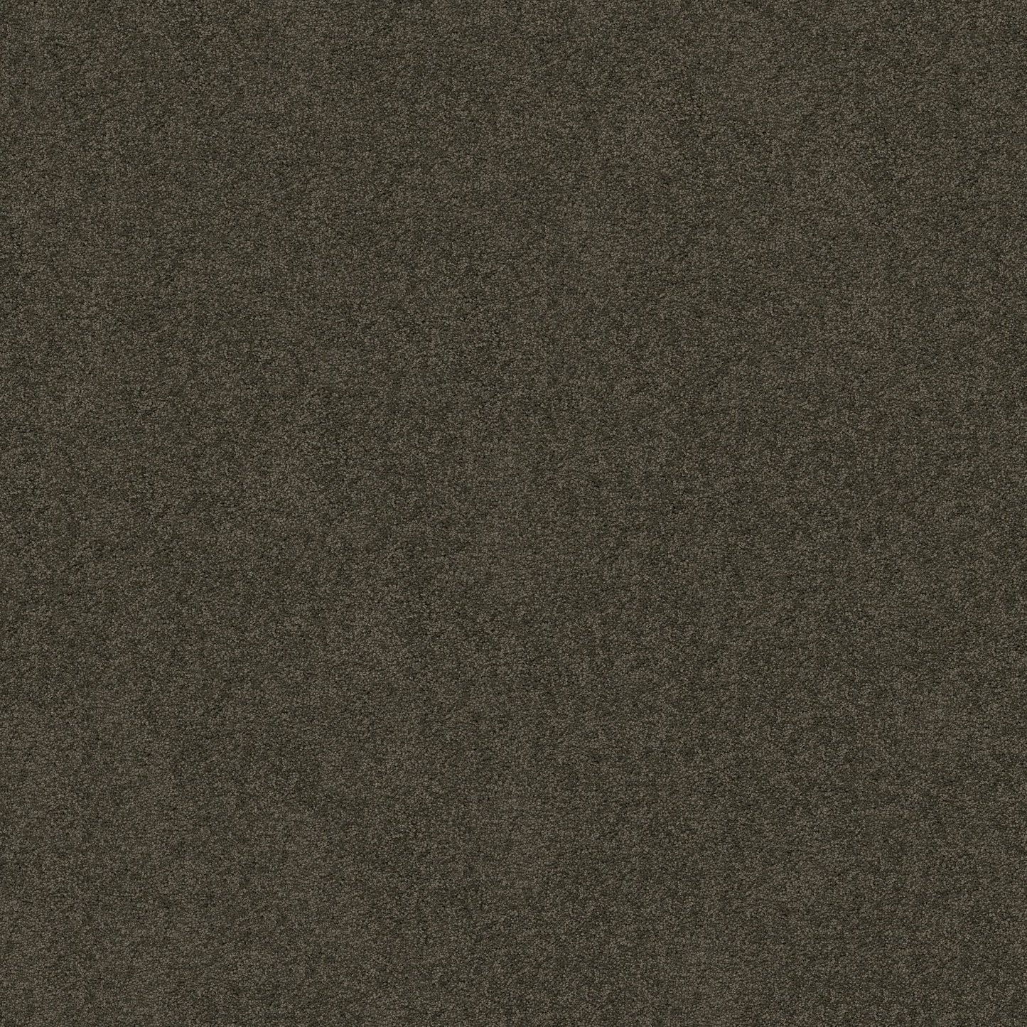 TEXTURE BCF