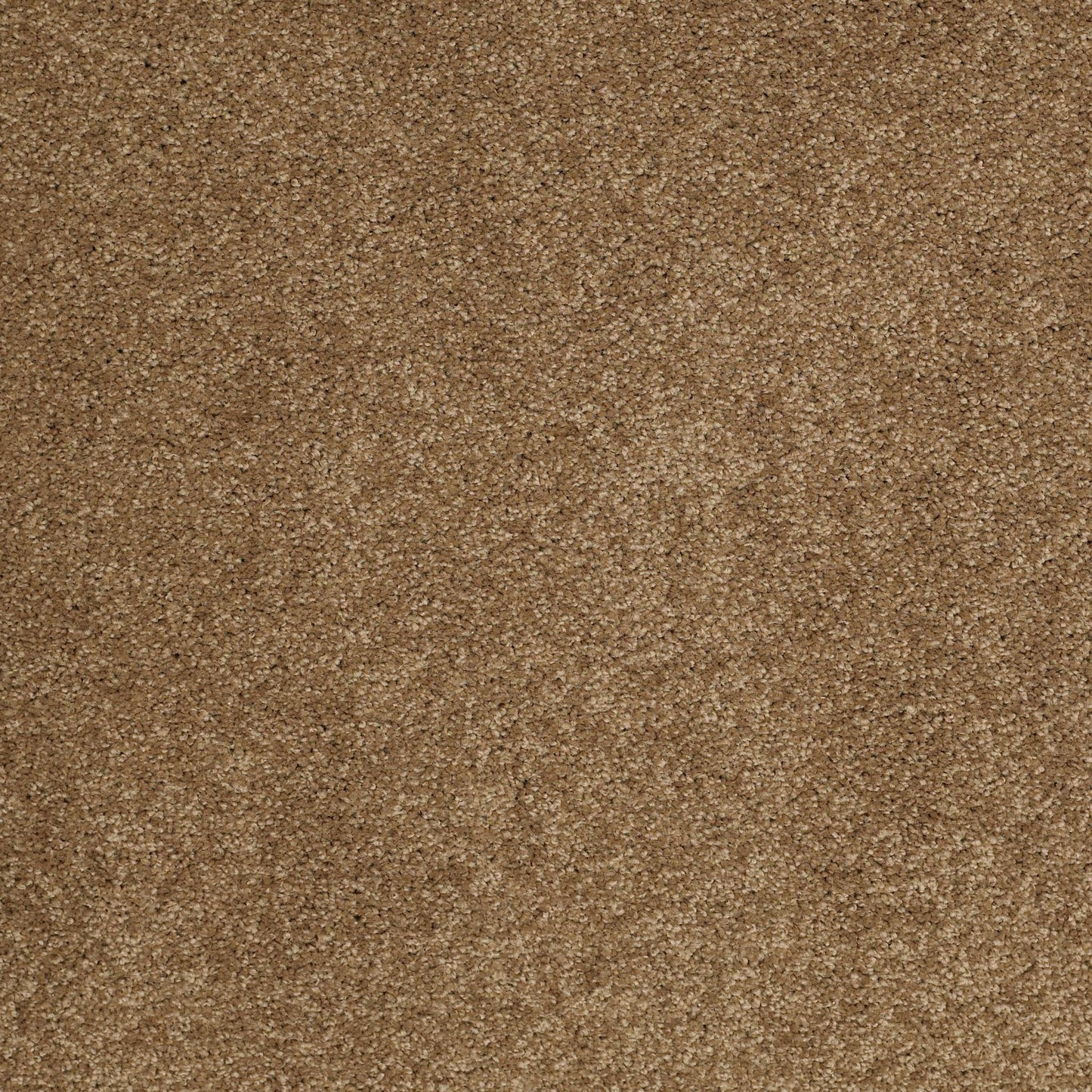 TEXTURE BCF