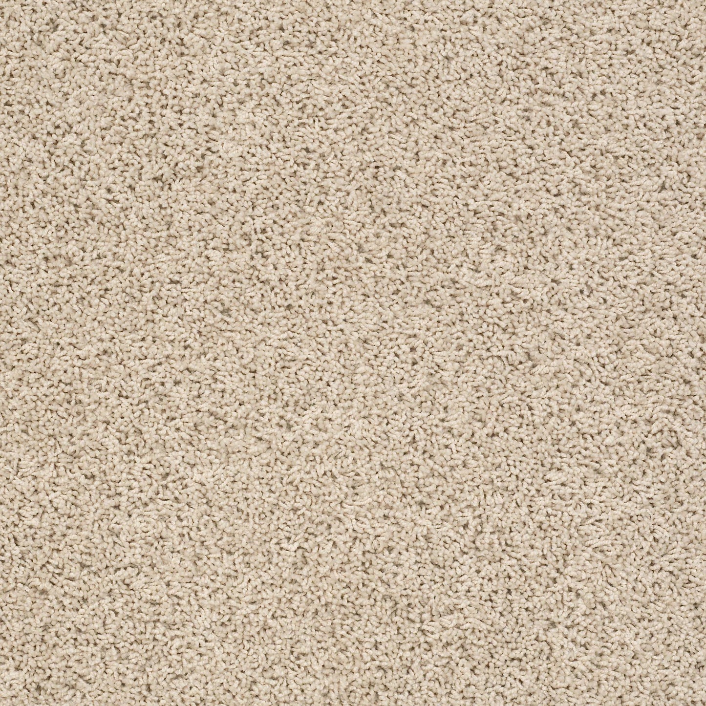 TEXTURE BCF