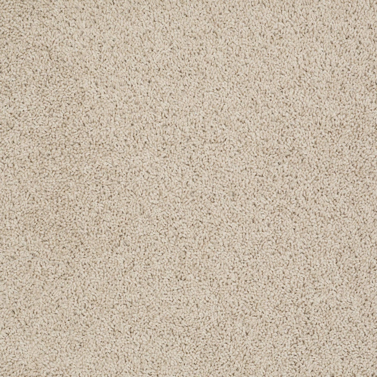 TEXTURE BCF